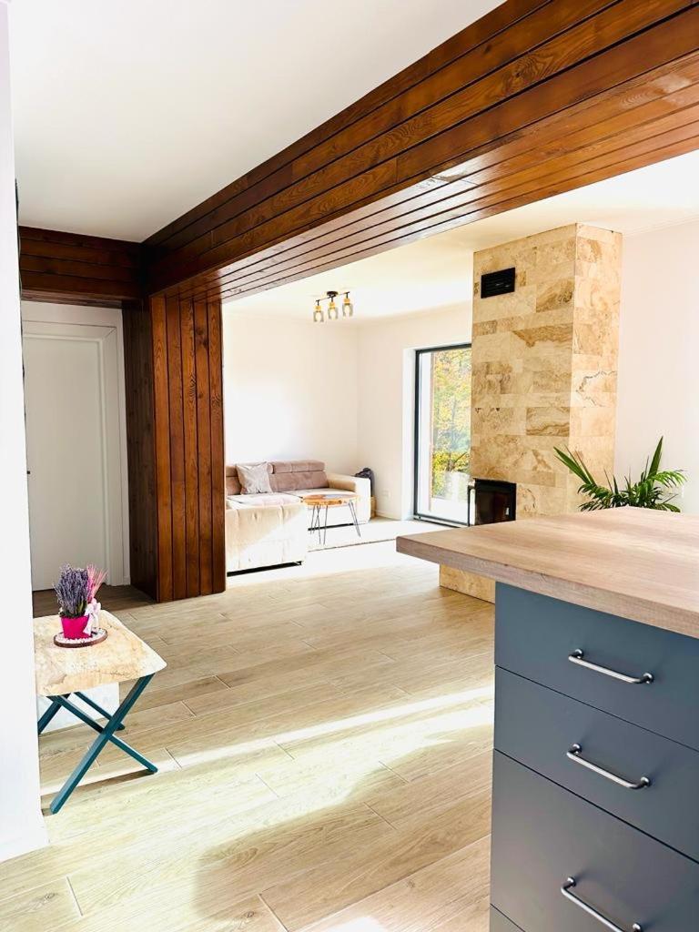 Stone House Sinaia Villa Екстериор снимка