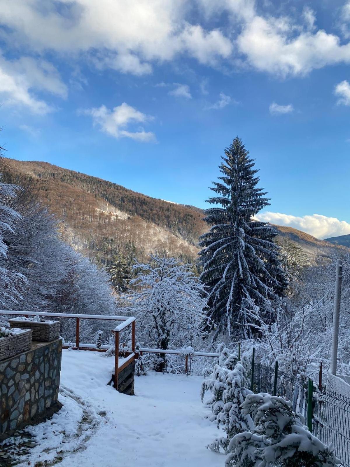 Stone House Sinaia Villa Екстериор снимка